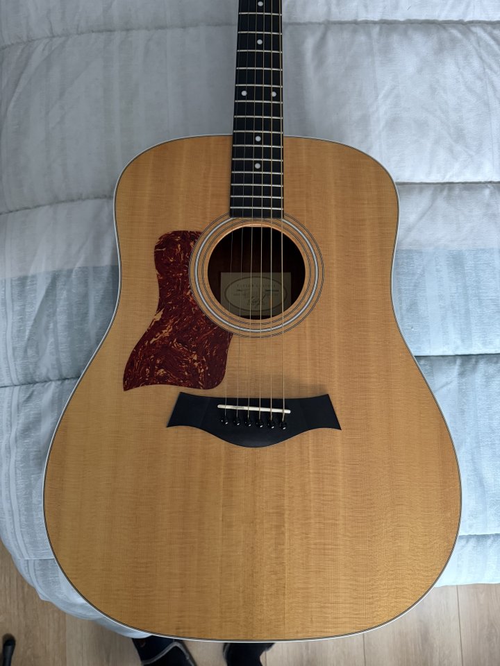 Guitarra zurdo Taylor 210e DLX