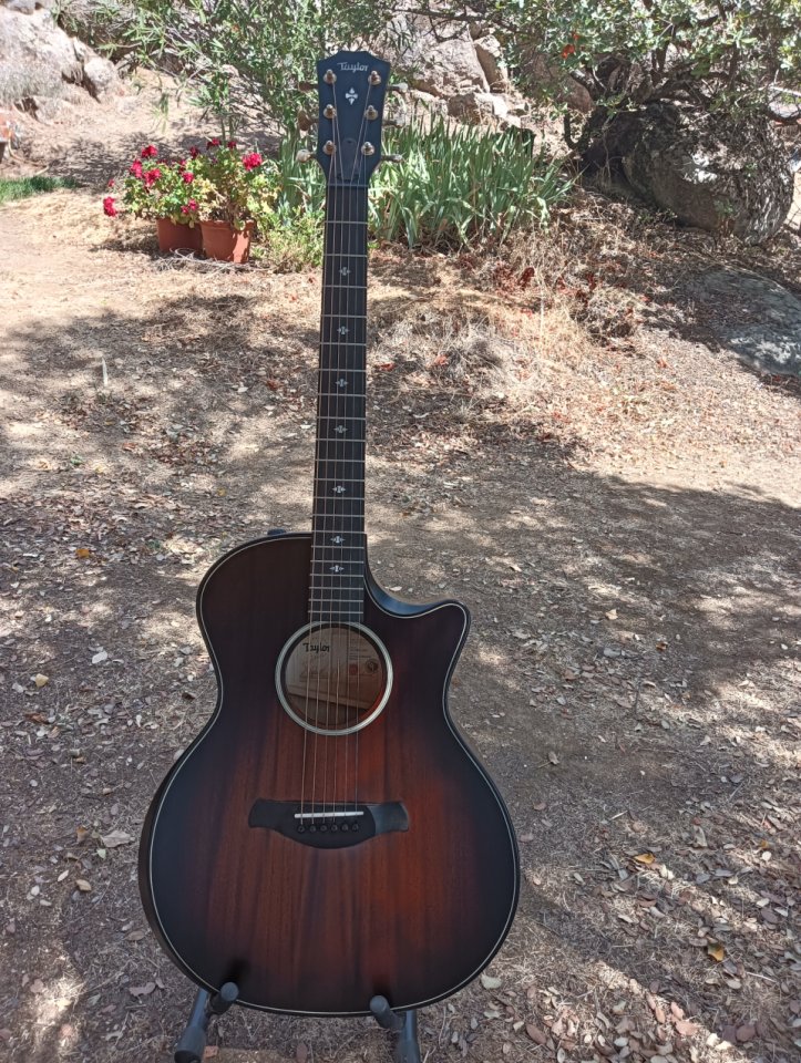 Taylor Builder´s Edition 324ce de segunda mano · Foto 1 de 8 · Toledo · 1475 €