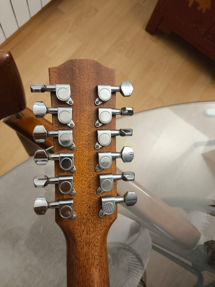 Cambio guitarra electroacústica Fender de 12 cuerdas.