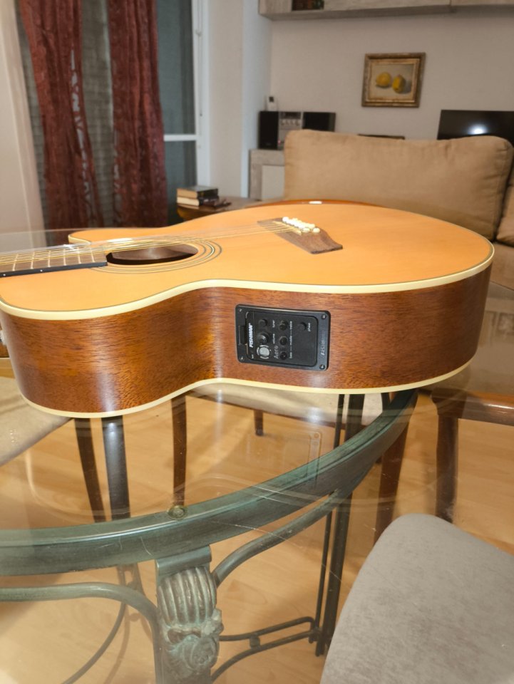 Cambio guitarra electroacústica Fender de 12 cuerdas.