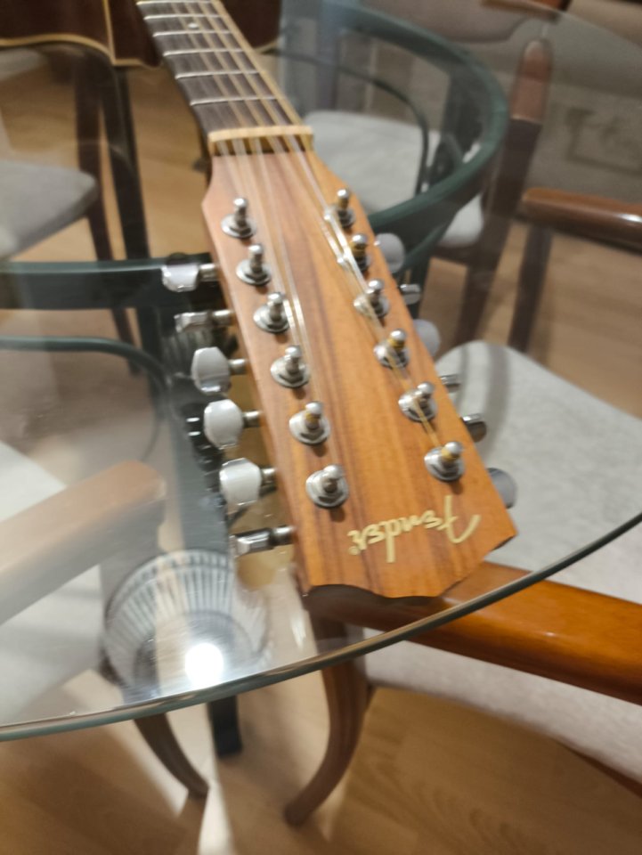 Cambio guitarra electroacústica Fender de 12 cuerdas.