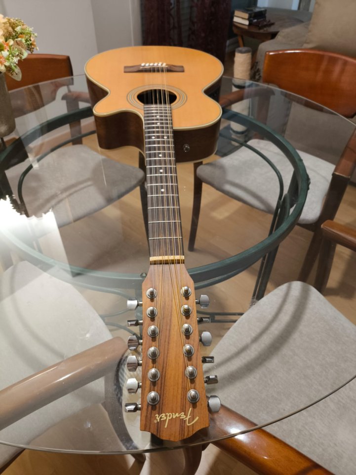 Cambio guitarra electroacústica Fender de 12 cuerdas.