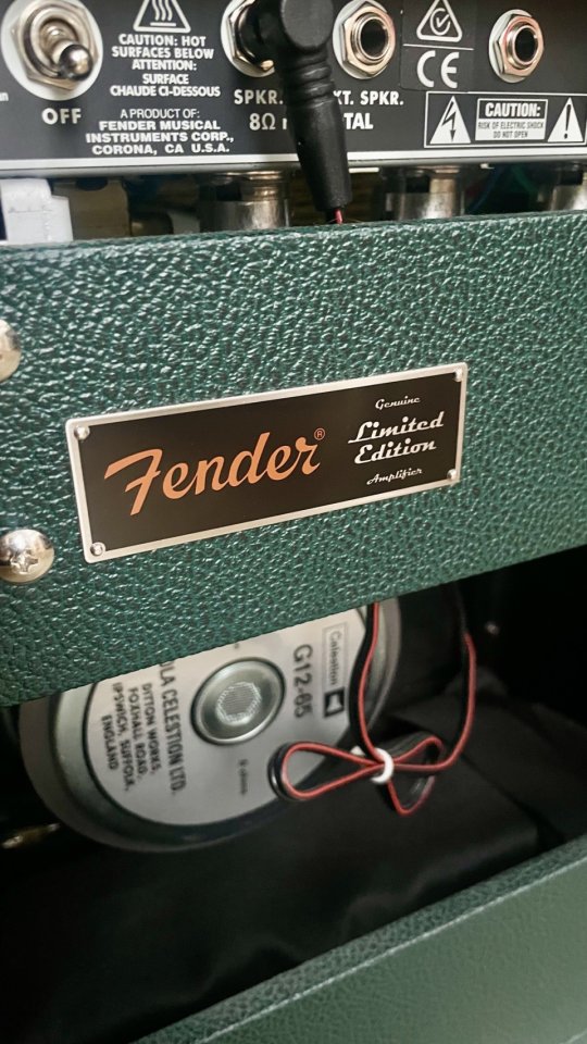 65 Fender Princeton Reverb British Racing Green LIMITED EDITION FSR USA de segunda mano · Foto 1 de 9 · Asturias · 1600 €