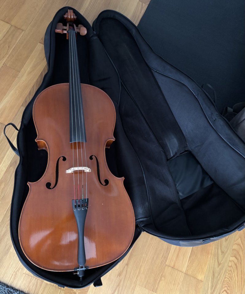 Violonchelo Tarapiella 4/4 de segunda mano · Foto 1 de 4 · Badajoz · 3200 €