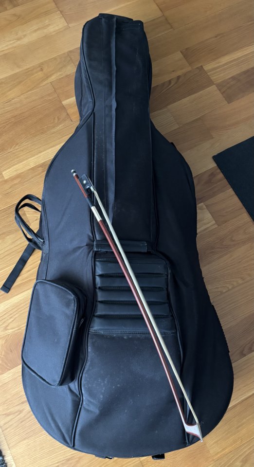 Violonchelo Tarapiella 4/4 de segunda mano · Foto 2 de 4 · Badajoz · 3200 €