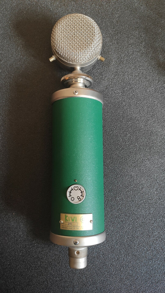 Micrófono Blue Kiwi