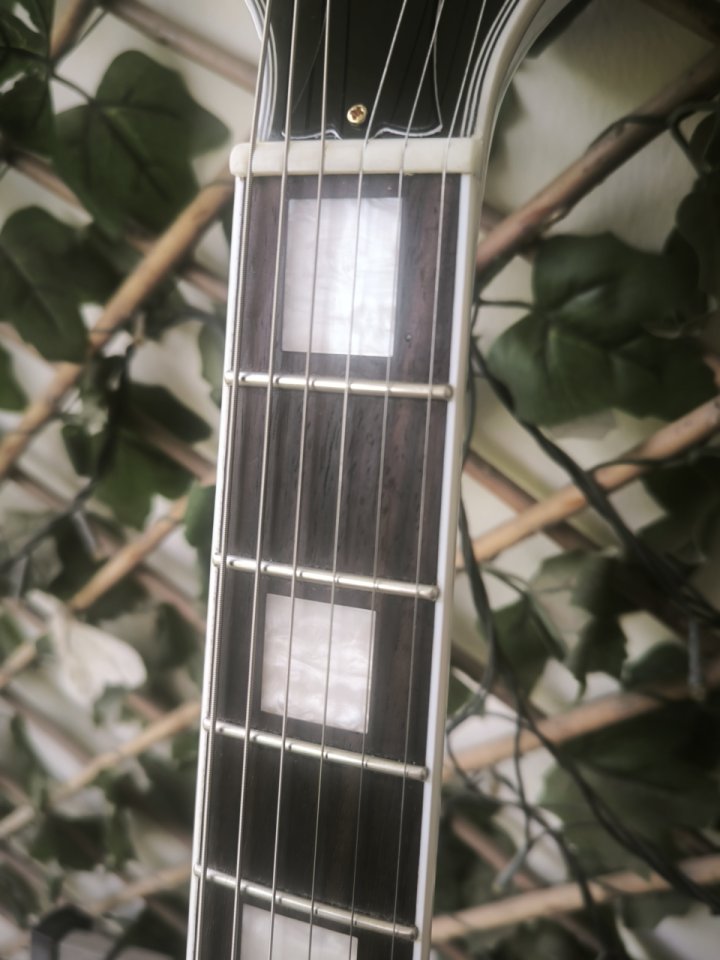 REBAJA FINAL Guitarra estilo ES355 + EXTRAS ¡Espectacular! de segunda mano · Foto 6 de 6 · Murcia · 280 €