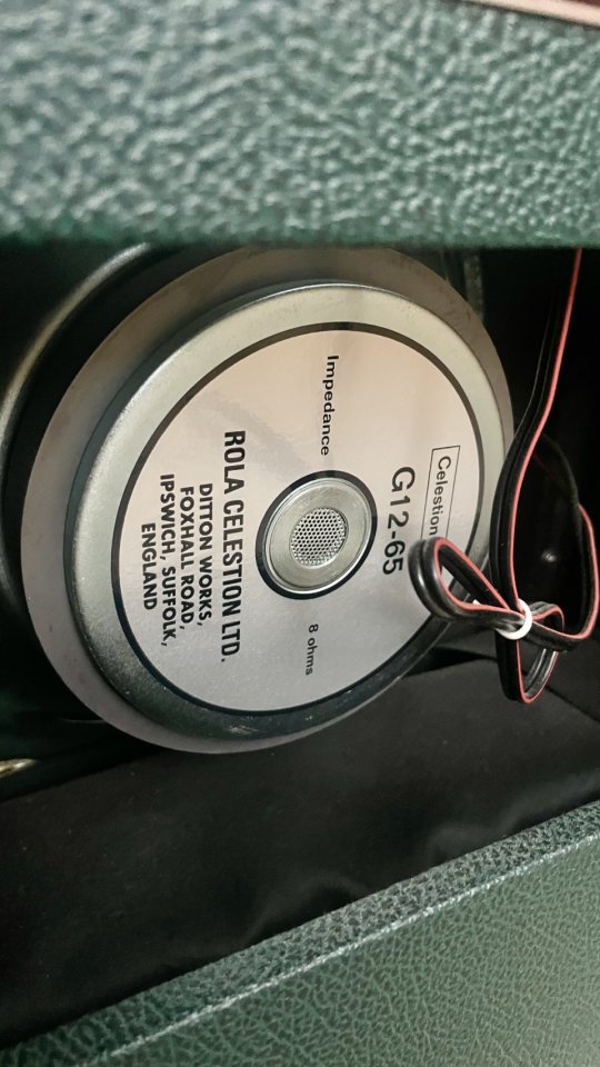 65 Fender Princeton Reverb British Racing Green LIMITED EDITION FSR USA de segunda mano · Foto 3 de 9 · Asturias · 1600 €
