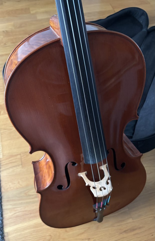 Violonchelo Tarapiella 4/4 de segunda mano · Foto 3 de 4 · Badajoz · 3200 €