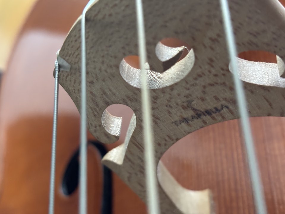 Violonchelo Tarapiella 4/4 de segunda mano · Foto 4 de 4 · Badajoz · 3200 €