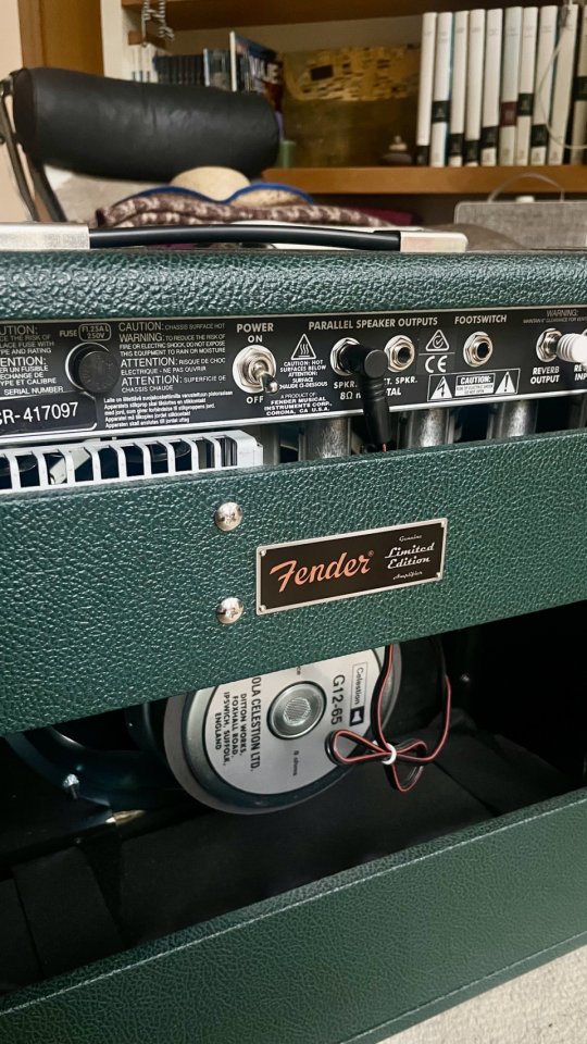 65 Fender Princeton Reverb British Racing Green LIMITED EDITION FSR USA de segunda mano · Foto 5 de 9 · Asturias · 1600 €