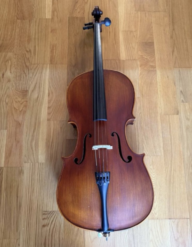 Violonchelo 1/2 con funda y arco de segunda mano · Foto 2 de 6 · Badajoz · 400 €