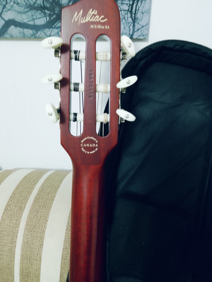 Godin acs Slim hd black