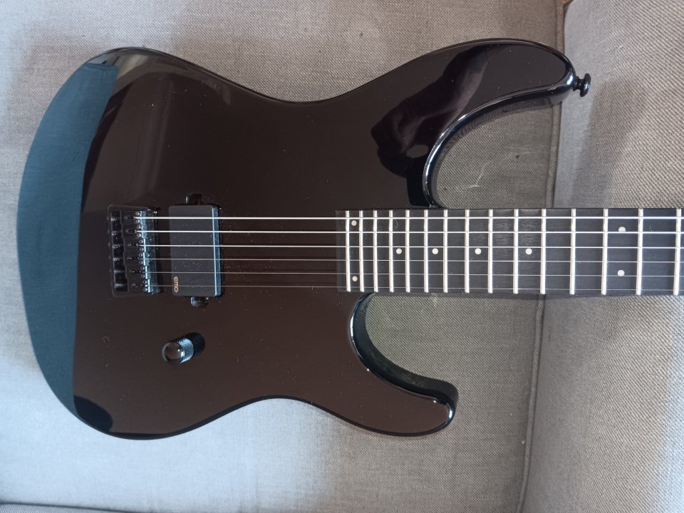 LTD SN-201HT Black de segunda mano · Foto 1 de 6 · Navarra · 305 €