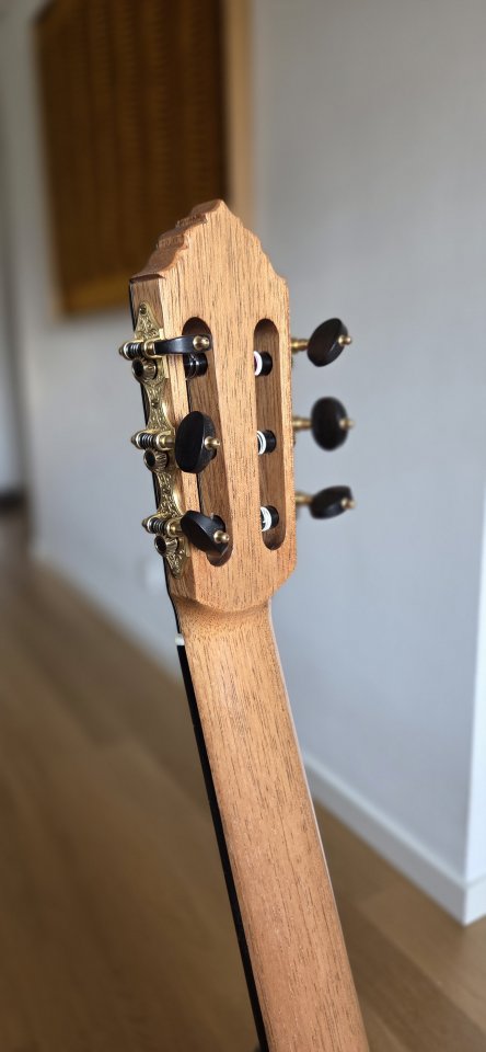 Guitarra Flamenca Negra