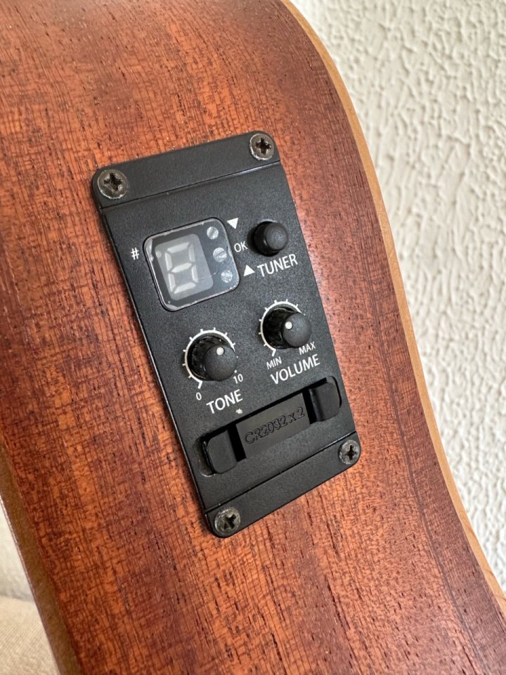 Guitarra Baby Taylor BT1e