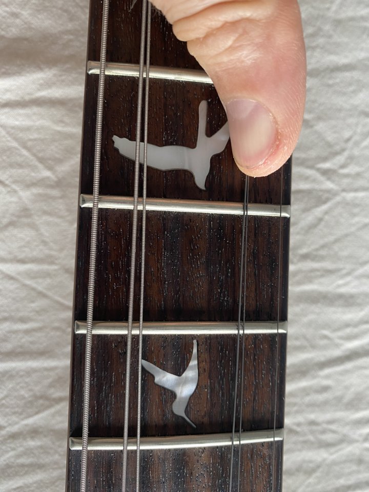 Vendo prs se custom de segunda mano · Foto 4 de 6 · Zaragoza · 850 €