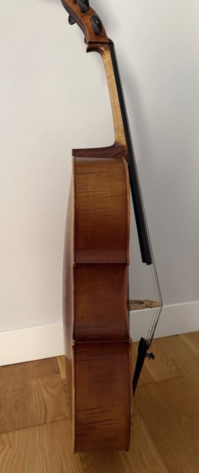 Violonchelo 1/2 con funda y arco de segunda mano · Foto 5 de 6 · Badajoz · 400 €