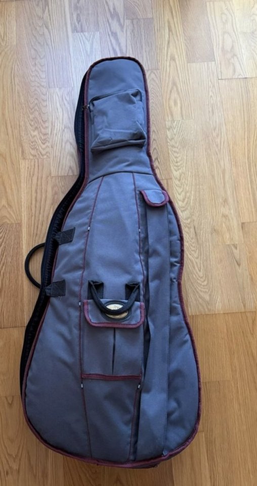 Violonchelo 1/2 con funda y arco de segunda mano · Foto 6 de 6 · Badajoz · 400 €