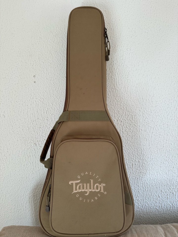 Guitarra Baby Taylor BT1e