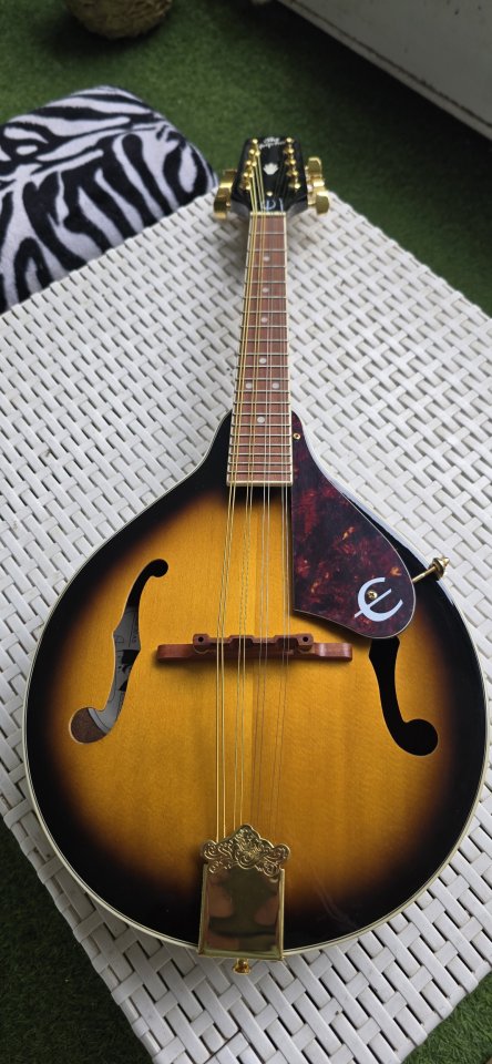 Mandolina Epiphone de segunda mano · Foto 1 de 10 · Madrid · 160 €