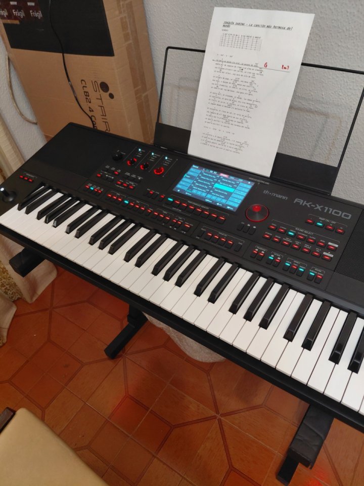 Teclado thoman AKX 1100.CON BOLSA ORIGIBAL de segunda mano · Foto 2 de 2 · Ciudad Real · 500 €