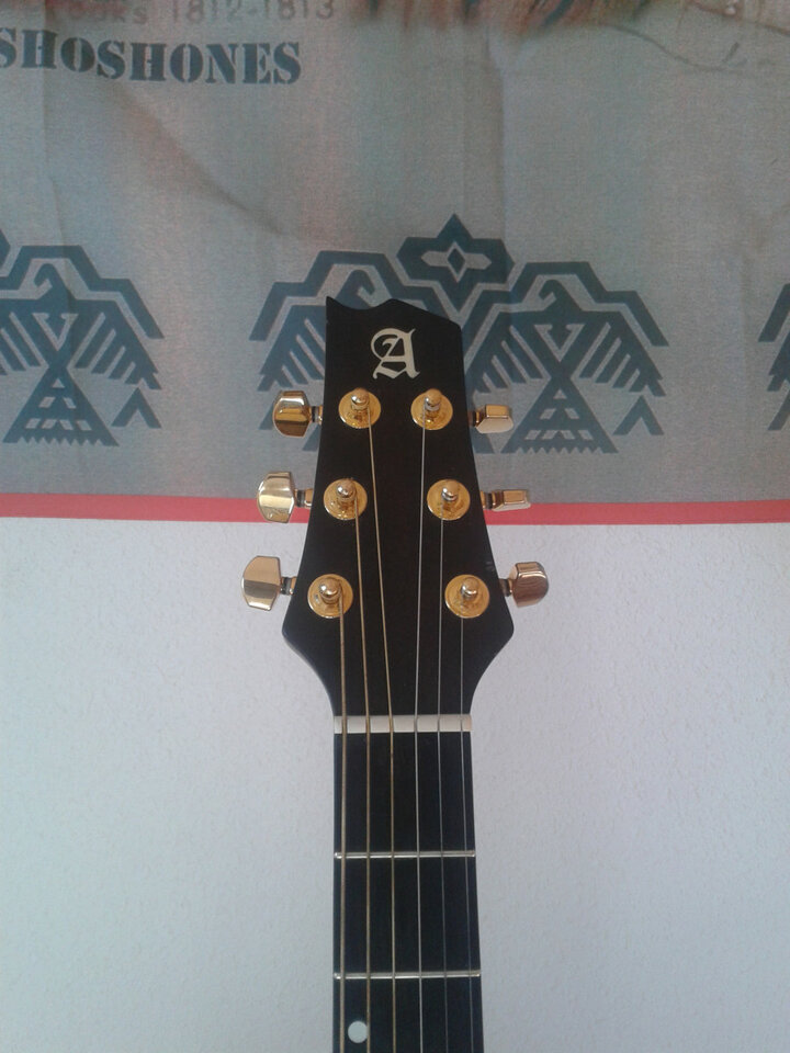 ALHAMBRA NJ3 con Fishman Prefix