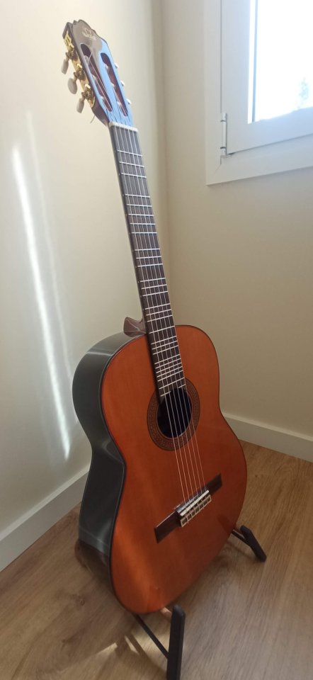 Guitarra Microtonal Clásica de segunda mano · Foto 1 de 5 · Barcelona · 750 €