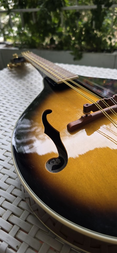 Mandolina Epiphone de segunda mano · Foto 7 de 10 · Madrid · 160 €
