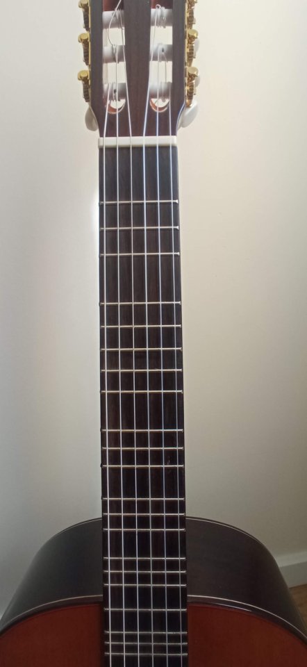 Guitarra Microtonal Clásica de segunda mano · Foto 2 de 5 · Barcelona · 750 €