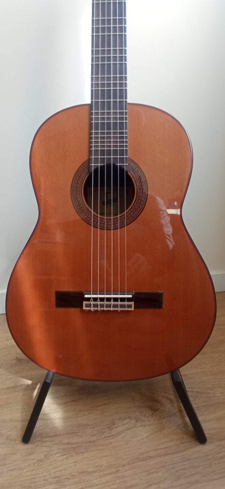 Guitarra Microtonal Clásica de segunda mano · Foto 3 de 5 · Barcelona · 750 €