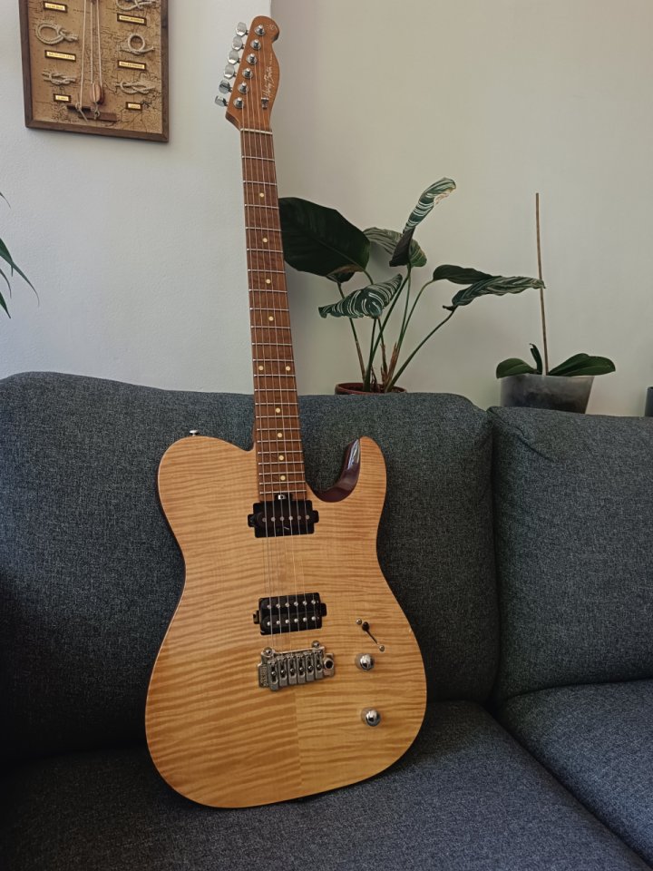 Harley Benton Fusion T mejorada de segunda mano · Foto 1 de 4 · Madrid · 299 €