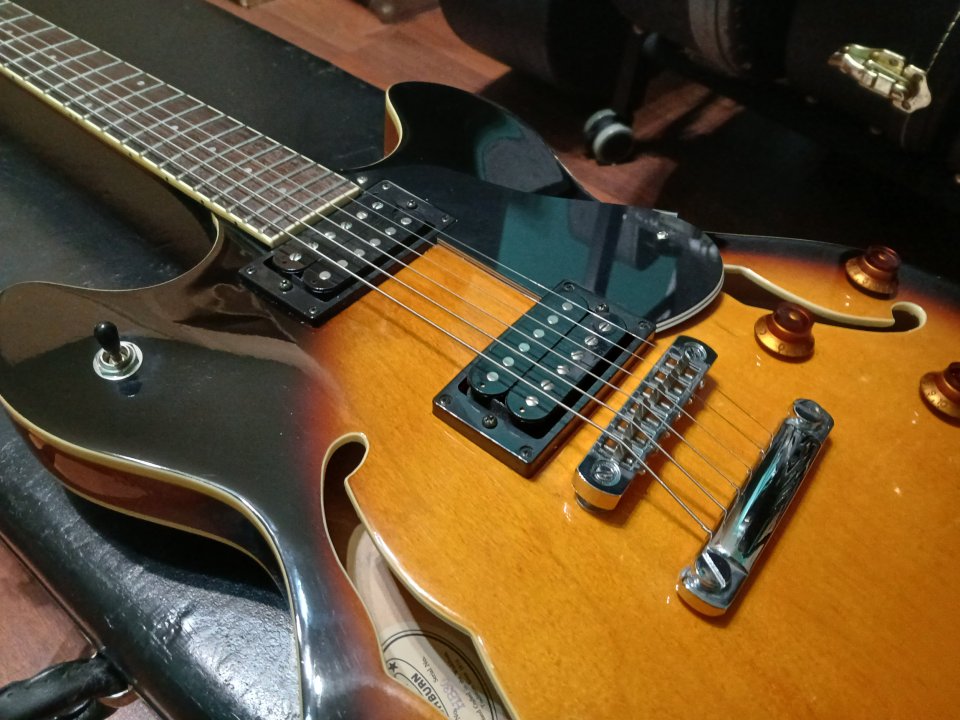 Washburn hollowbody HB30 TS