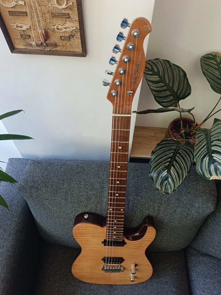 Harley Benton Fusion T mejorada de segunda mano · Foto 3 de 4 · Madrid · 299 €