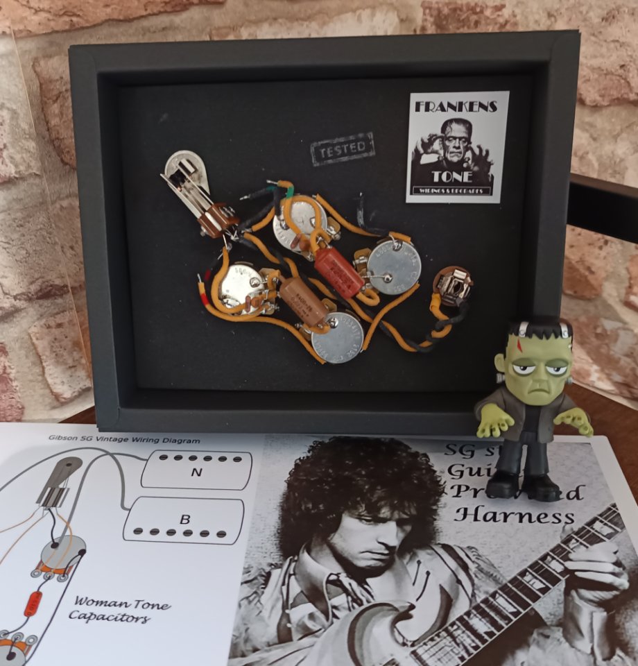 Arnes Precableado para guitarras gibson Sg y similares de segunda mano · Foto 2 de 7 · Bizkaia · 125 €