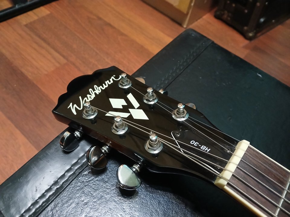 Washburn hollowbody HB30 TS