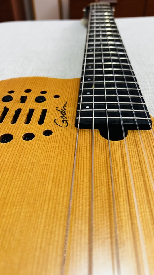 Godin ACS-SA Guitarra Nylon Alta Gama de segunda mano · Foto 1 de 5 · Segovia · 1400 €
