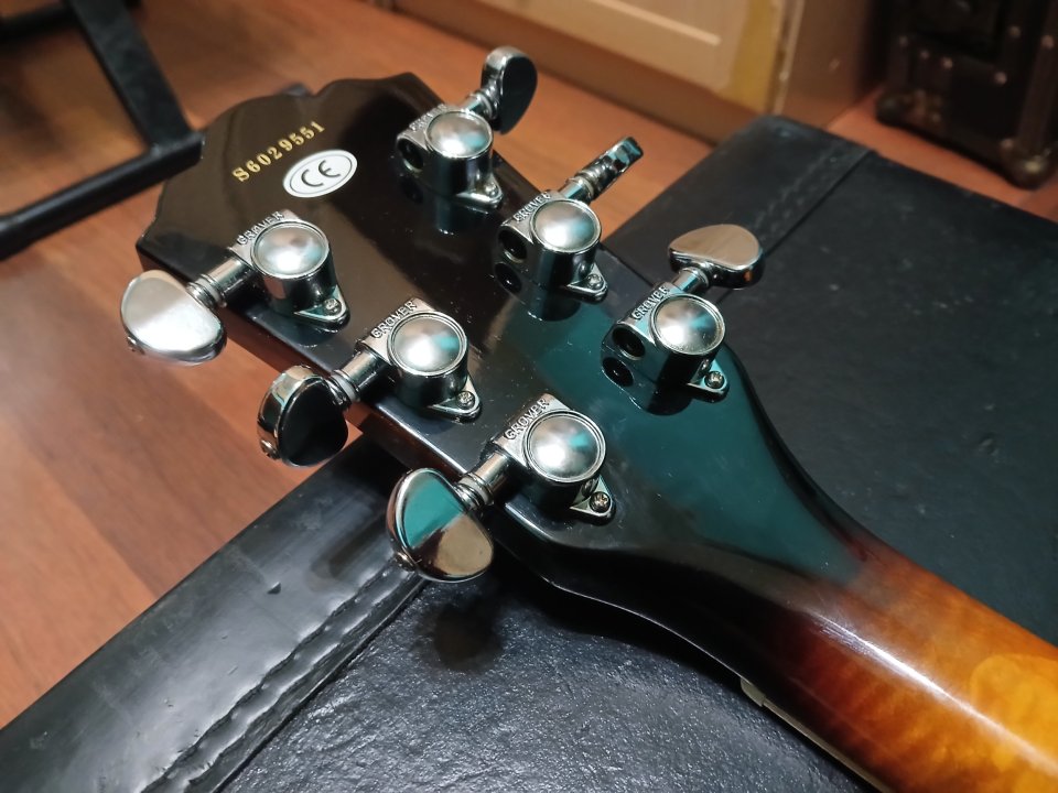 Washburn hollowbody HB30 TS