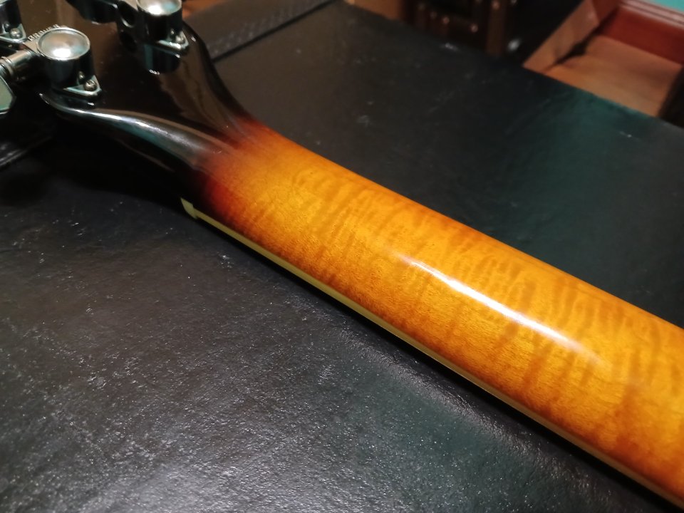 Washburn hollowbody HB30 TS