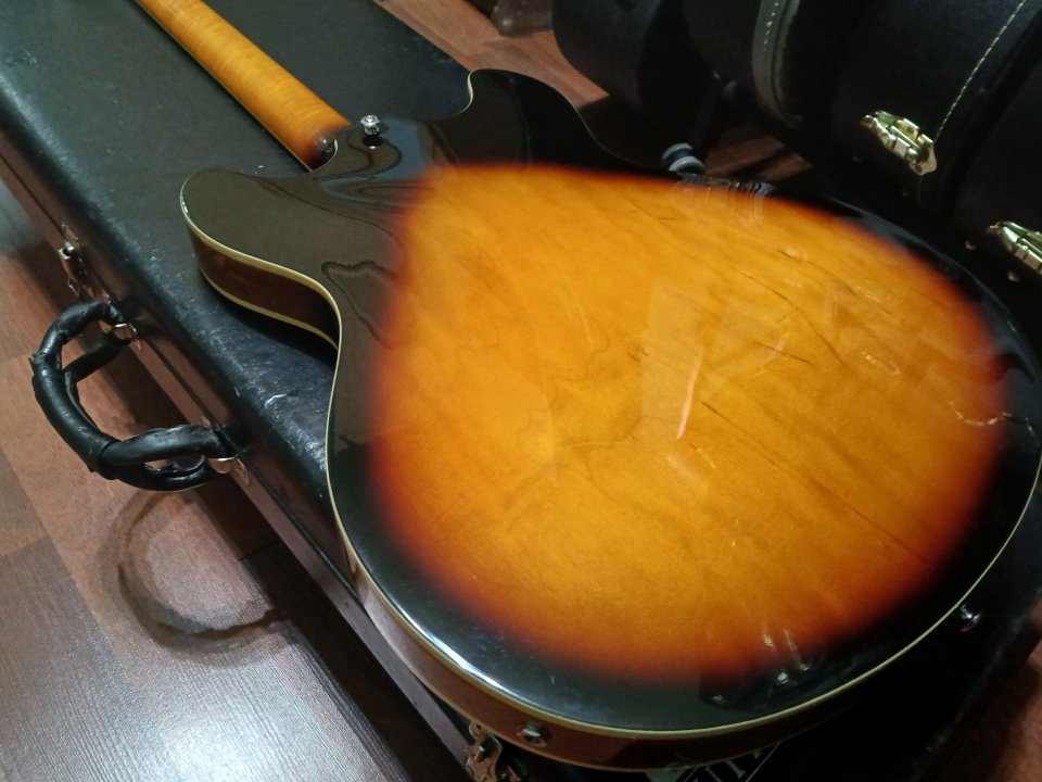 Washburn hollowbody HB30 TS