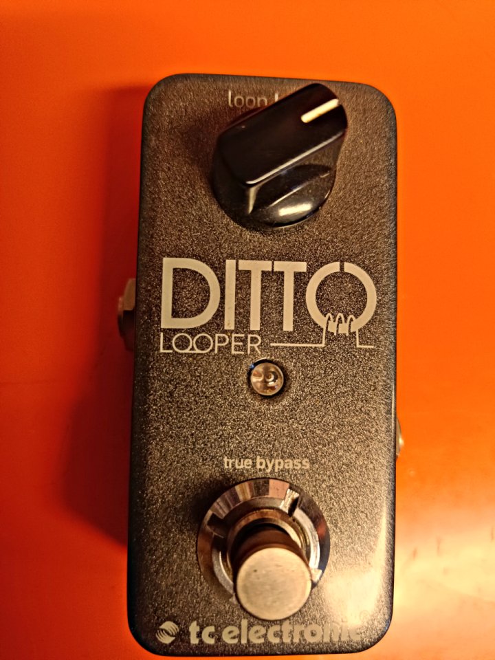 Looper Ditto T.C. Electronic de segunda mano · Foto 1 de 3 · Valencia · 45 €