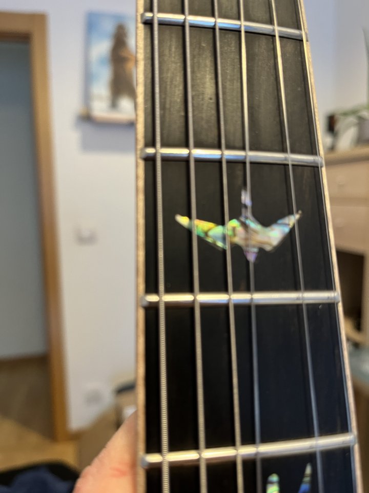 PRS SE Hollowbody II PIezo