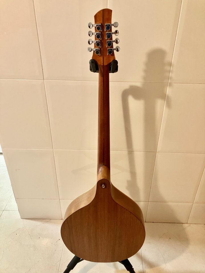 Iris bouzouki caroline lacombe de segunda mano · Foto 4 de 10 · Barcelona · 550 €