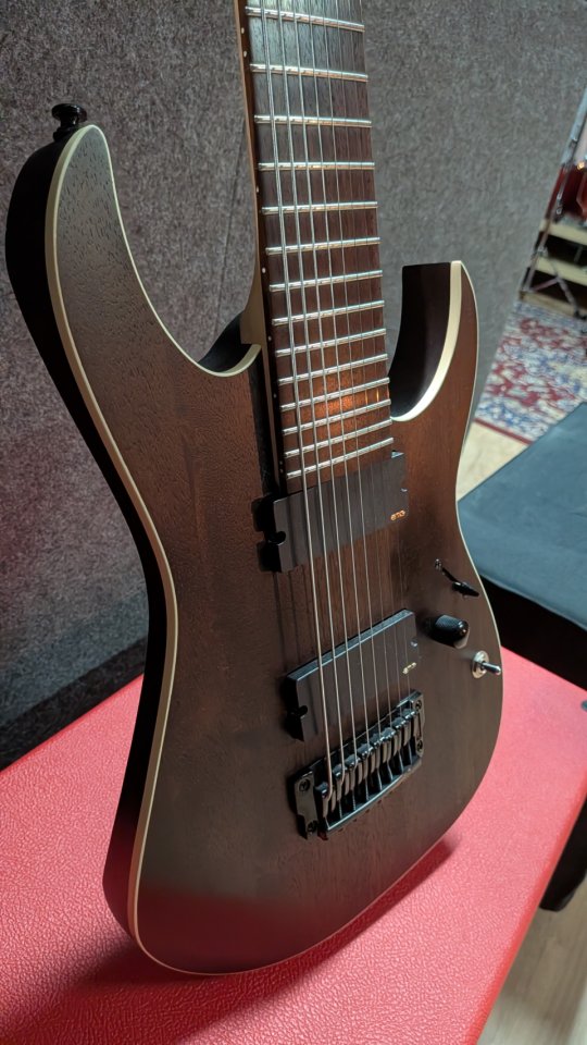 Ibanez RGIR28BFE Iron Label 8 cuerdas – EMG 808 – 27 pulgadas de segunda mano · Foto 2 de 5 · Ciudad Real · 575 €
