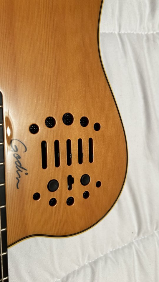 Godin ACS-SA Guitarra Nylon Alta Gama de segunda mano · Foto 2 de 5 · Segovia · 1400 €