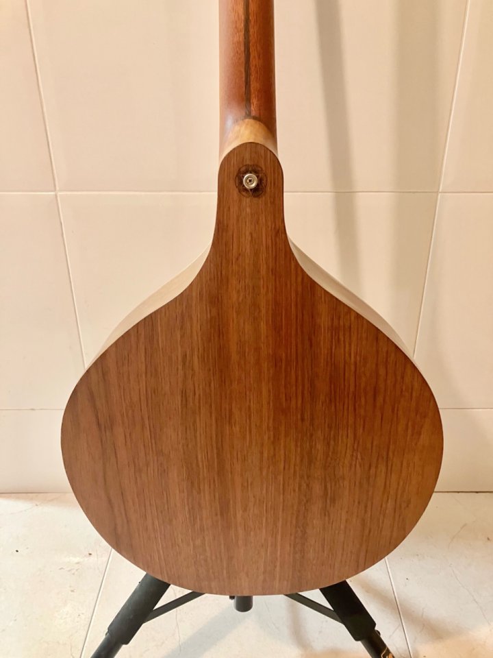 Iris bouzouki caroline lacombe de segunda mano · Foto 7 de 10 · Barcelona · 550 €