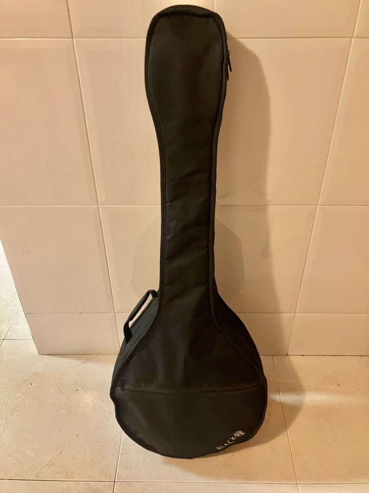 Iris bouzouki caroline lacombe de segunda mano · Foto 8 de 10 · Barcelona · 550 €