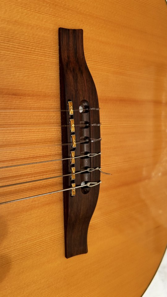 Godin ACS-SA Guitarra Nylon Alta Gama de segunda mano · Foto 3 de 5 · Segovia · 1400 €