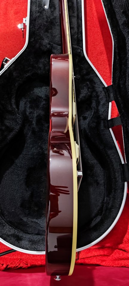 Les Paul Custom Shop Michael Kelly Patriot Instinct