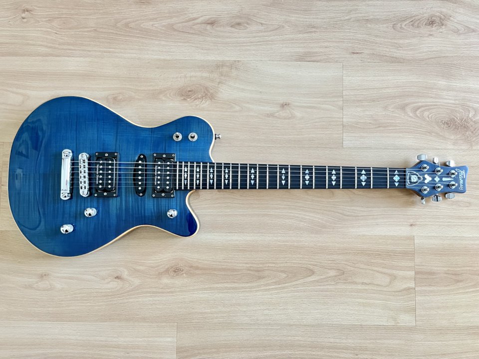 Guitarra Framus Panthera Custom 2003 de segunda mano · Foto 1 de 7 · Lleida · 1350 €